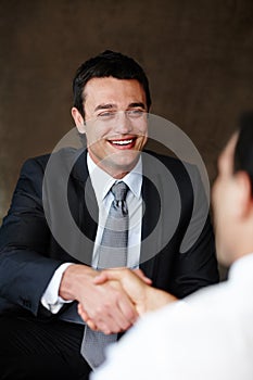 Closing a great business deal. Handsome young businessman shaking hands during a meeting.