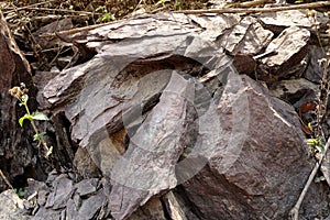 Closs up of shale stone on nature