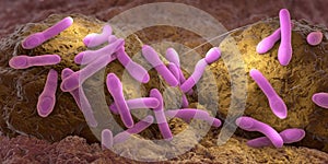 Clostridium botulism pathogens growing on organic tissue