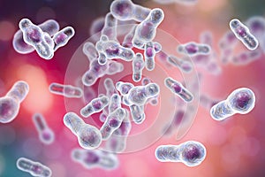 Clostridium difficile bacteria