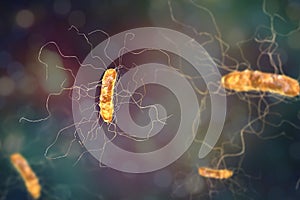 Clostridium difficile bacterium