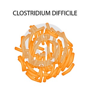 Clostridium difficile. Pathogenic flora. The bacterium causes intestinal diseases. Infographics. Vector illustration. photo