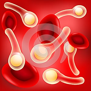 Red blood cells and bacteria Clostridium tetani with spores on r