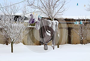 Clothes dried on a rope on a rural winter background