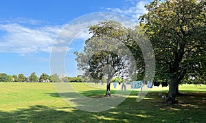Clothes drying in a Park