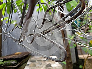 clothes hanger wire that is wet from the rain