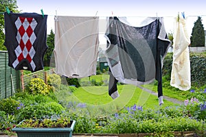 Clothes hanging from washing line
