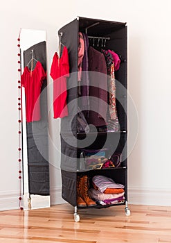 Clothes organizer with clothing and accessories