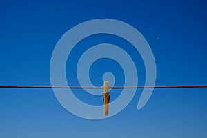Clothes peg and blue sky background.