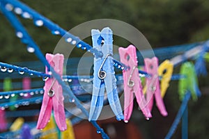 Clothes peg on wet washing line