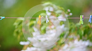 Clothes pegs on washing line