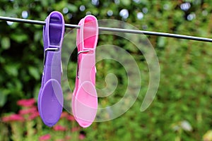 Clothes pin on a washing line