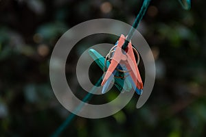 Clothes pins on green rope. with extreme bokeh