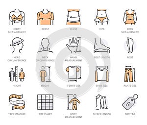 Clothes size flat line icons set. Body measurement - waist circumference, hip, chest, sleeve length, height vector photo