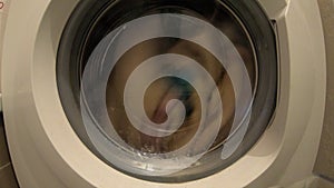 Clothes spin in the washing machine. Washing process. Timelapse.