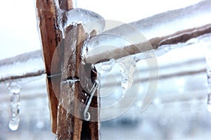 Clothespins frozen on line