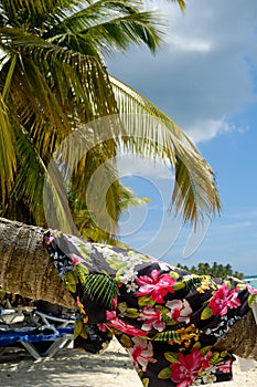 Clothing drying on palm