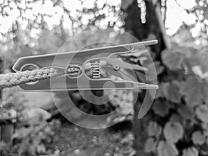 Clothpins on a thread