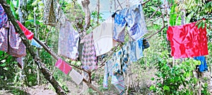Cloths and trees