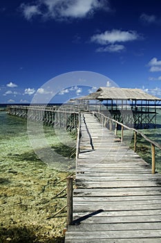 Cloud 9 surf break siargao island philippines