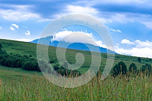 A cloud atop of a blue mountain with a green hill slope, trees, tall grass in foreground