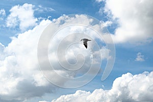 Cloud background