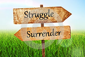 Struggle & surrender Double Road signpost photo