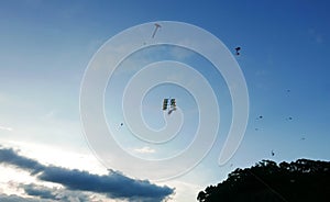 Cloud, blue sky, tree with flying kite