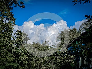 Cloud in the blue sky with trees, cloud stom in sky