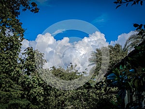 Cloud in the blue sky with trees, cloud stom in sky photo