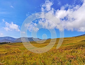 Cloud in the blue sky and yellow grass field.