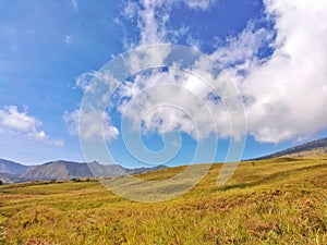 Cloud in the blue sky and yellow grass field.