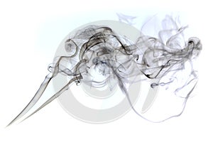 A cloud of cigarette smoke on a white background