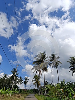 cloud in the clear sky