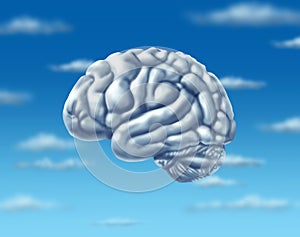 Cloud computing brain virtual server web internet