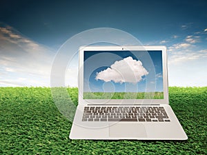 Cloud computing concept with laptop on grass