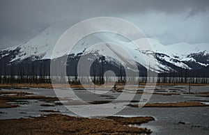 Cloud-covered Mountains and a Marsh