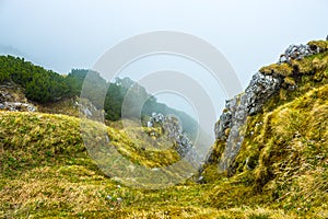 Cloud covering green cliff at high altitude