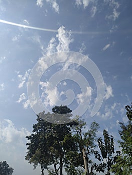 Cloud flying in the rainy season, fresh and natural reen tree