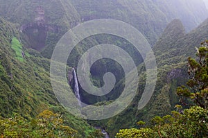 Cloud forests and waterfalls in RÃÂ¨union national park