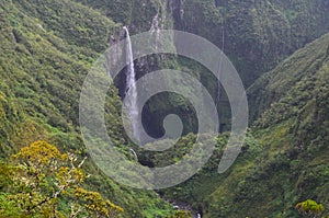 Cloud forests and waterfalls in RÃÂ¨union national park