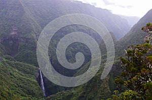 Cloud forests and waterfalls in RÃÂ¨union national park