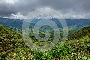 Cloud forest covering Bosque Nuboso Monteverde, Costa Rica photo