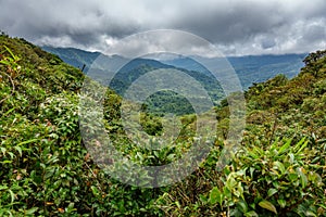 Cloud forest covering Bosque Nuboso Monteverde, Costa Rica photo