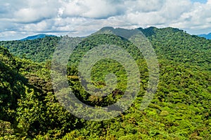 Cloud forest covering Reserva Biologica Bosque Nuboso Monteverde, Costa Ri photo