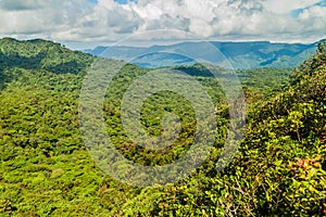Cloud forest covering Reserva Biologica Bosque Nuboso Monteverde, Costa Ri