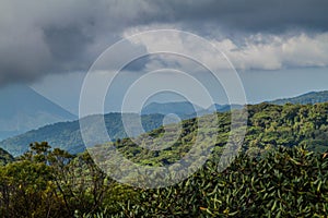 Cloud forest covering Reserva Biologica Bosque Nuboso Monteverde, Costa Ric