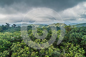 Cloud forest covering Reserva Biologica Bosque Nuboso Monteverde, Costa Ric