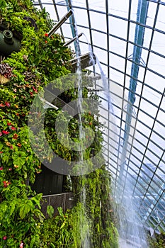 Cloud Forest Dome at Gardens by the Bay in Singapore