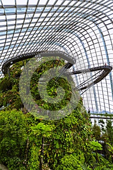 Cloud Forest Dome at Gardens by the Bay in Singapore